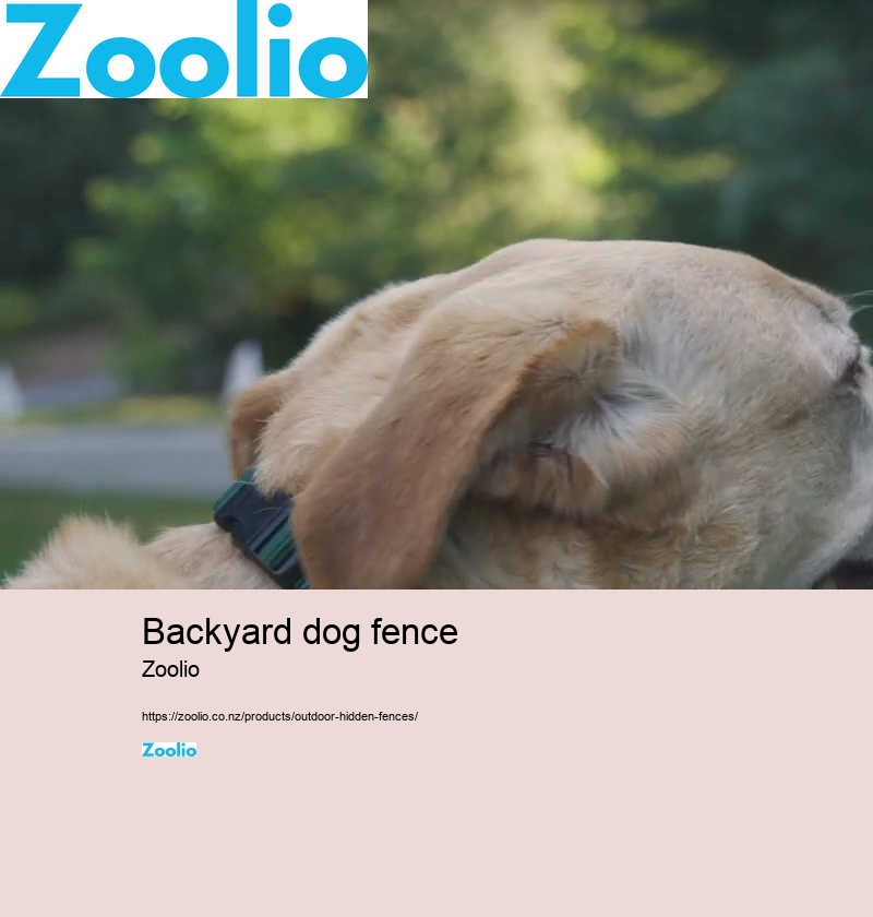 fencing for dogs