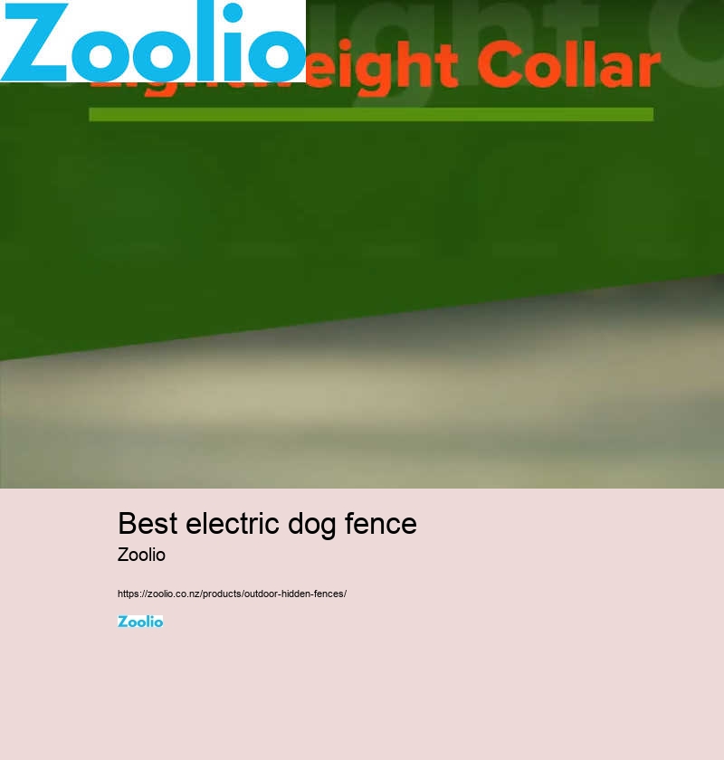 best electric dog fence