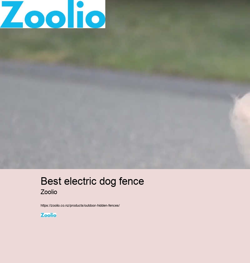 dog fencing nz