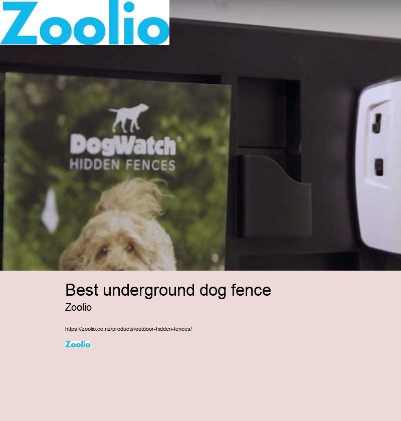 best underground dog fence