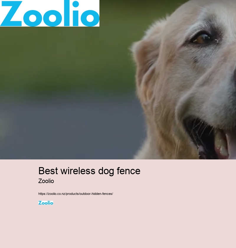 best wireless dog fence