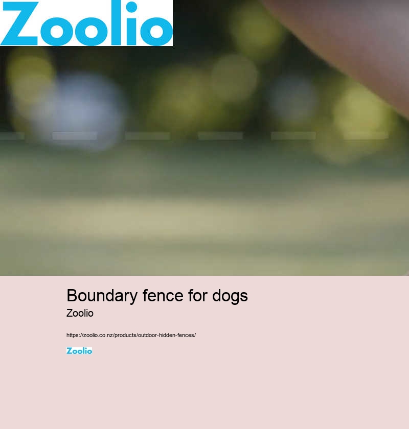 boundary fence for dogs