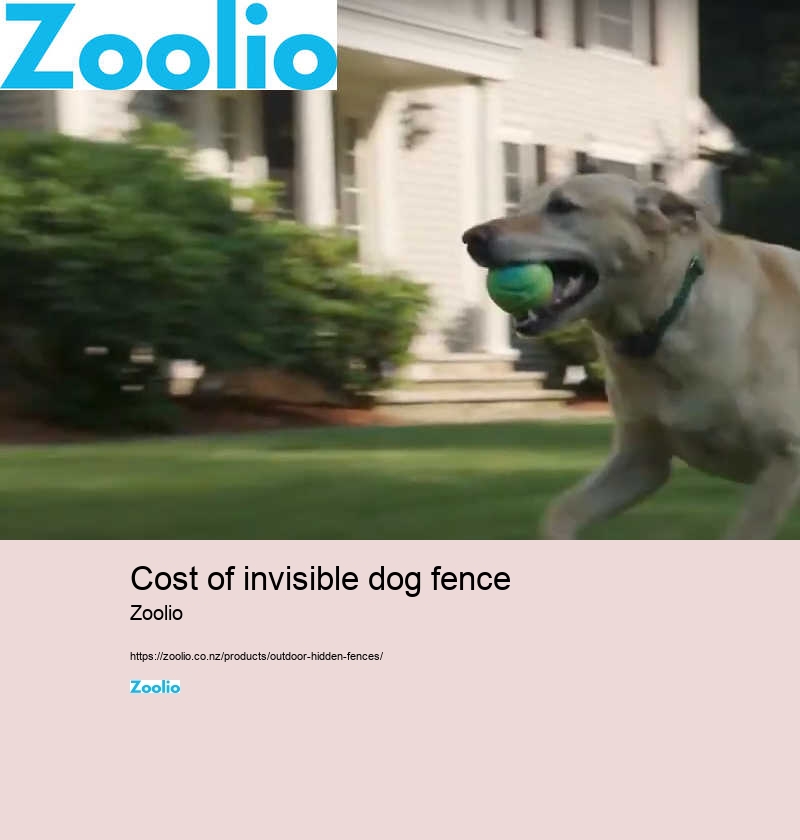 cost of invisible dog fence