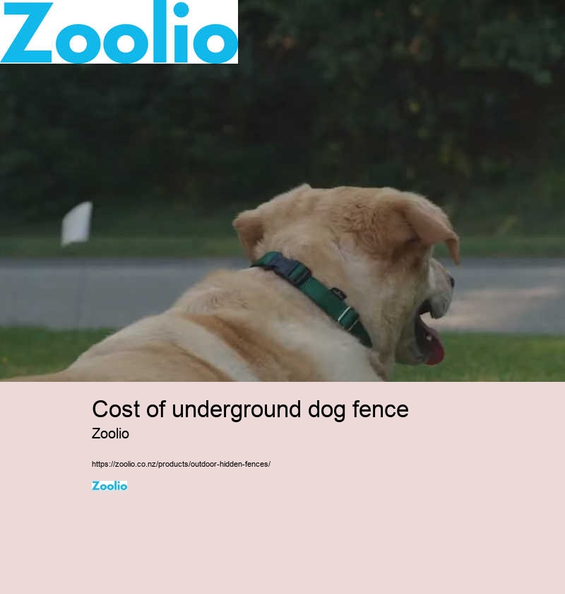 cost of underground dog fence