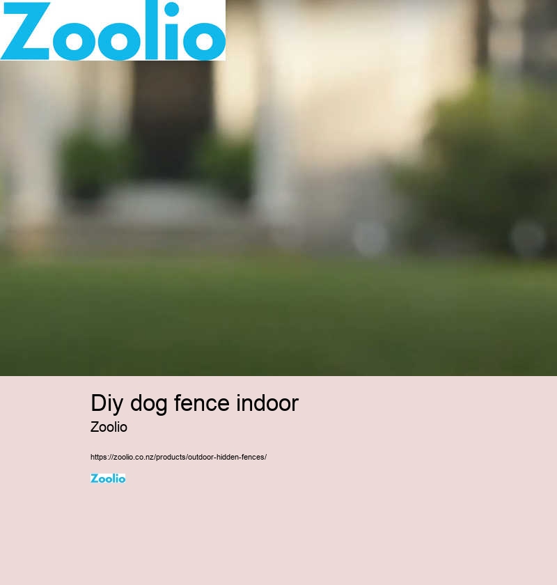 customizable wireless dog fence