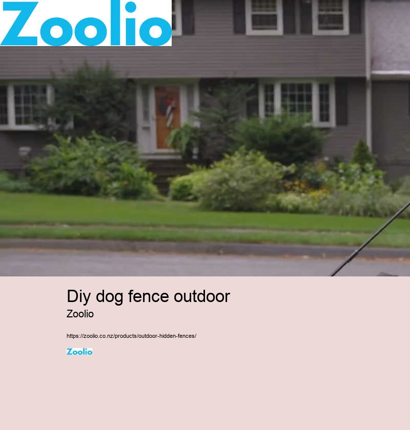 dog fence company