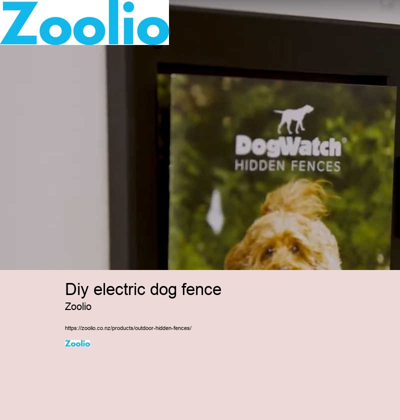 dog electric fence