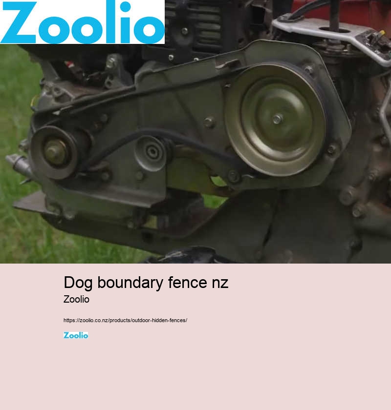 dog fencing nz