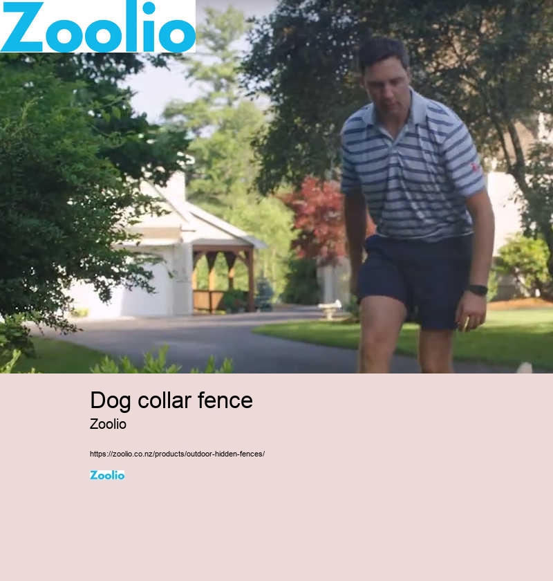 dog fence dome