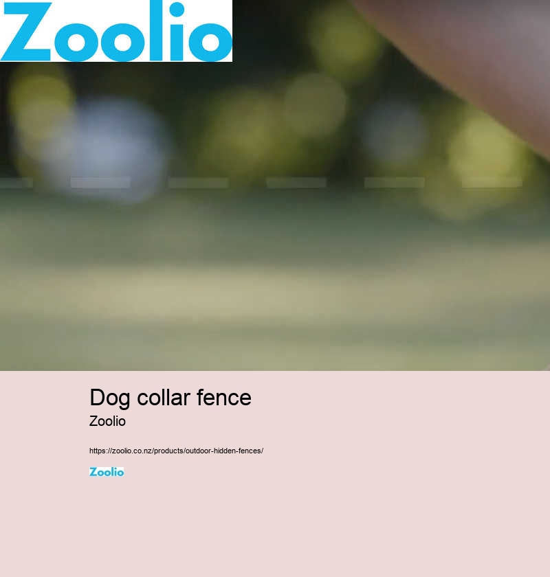 dog collar fence