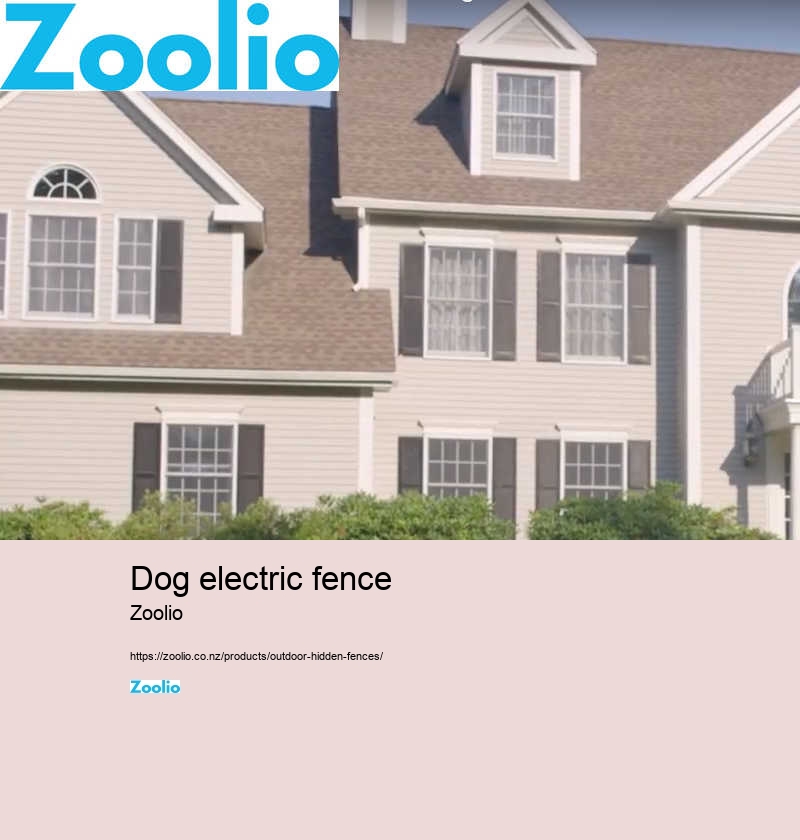 dog electric fence