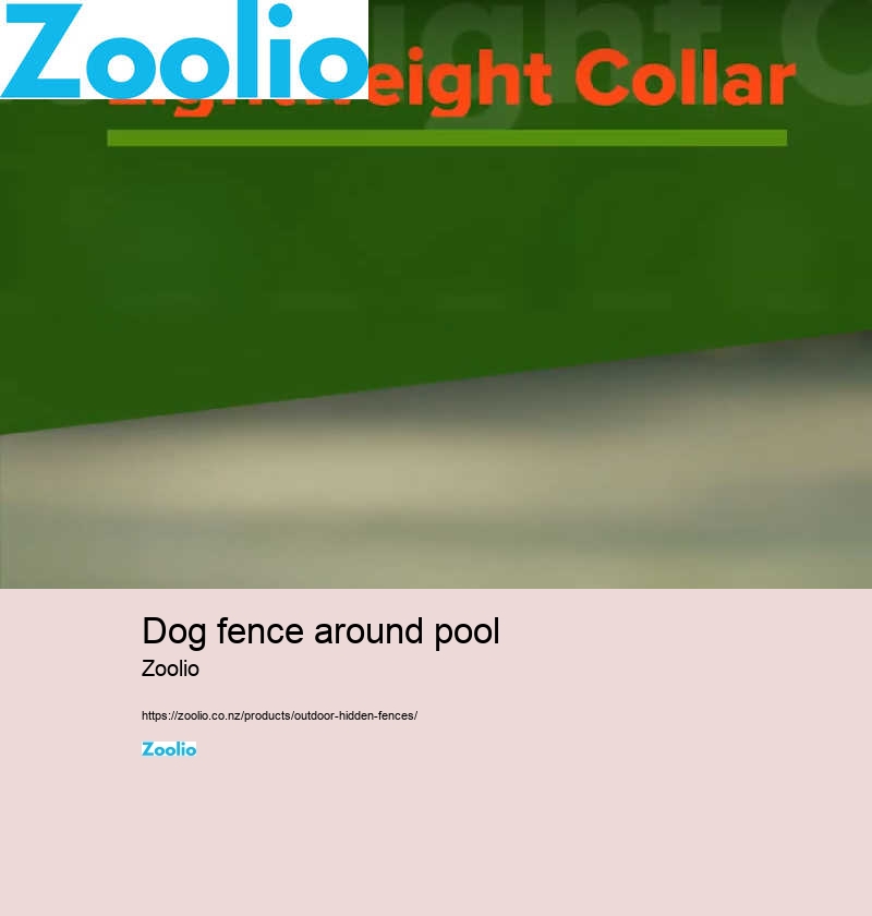 dog fence around pool