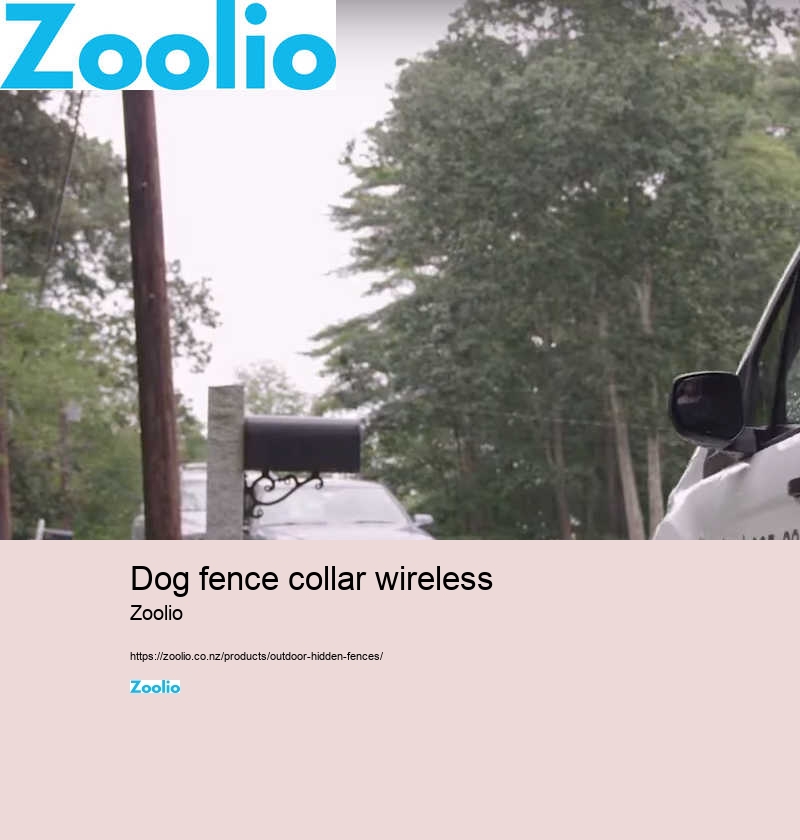 dog fence collar wireless