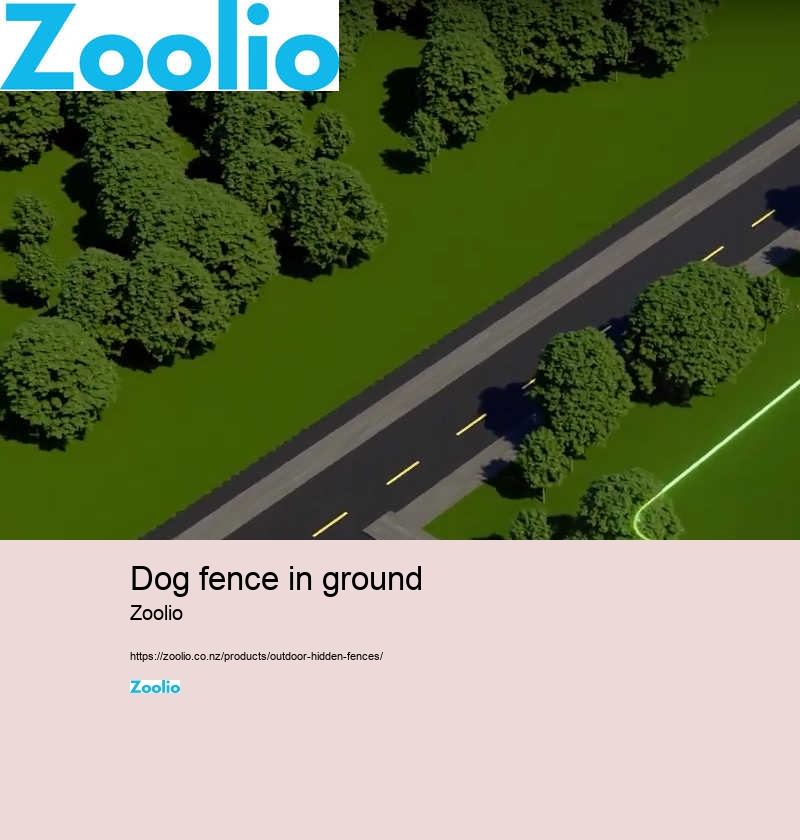 dog fence in ground