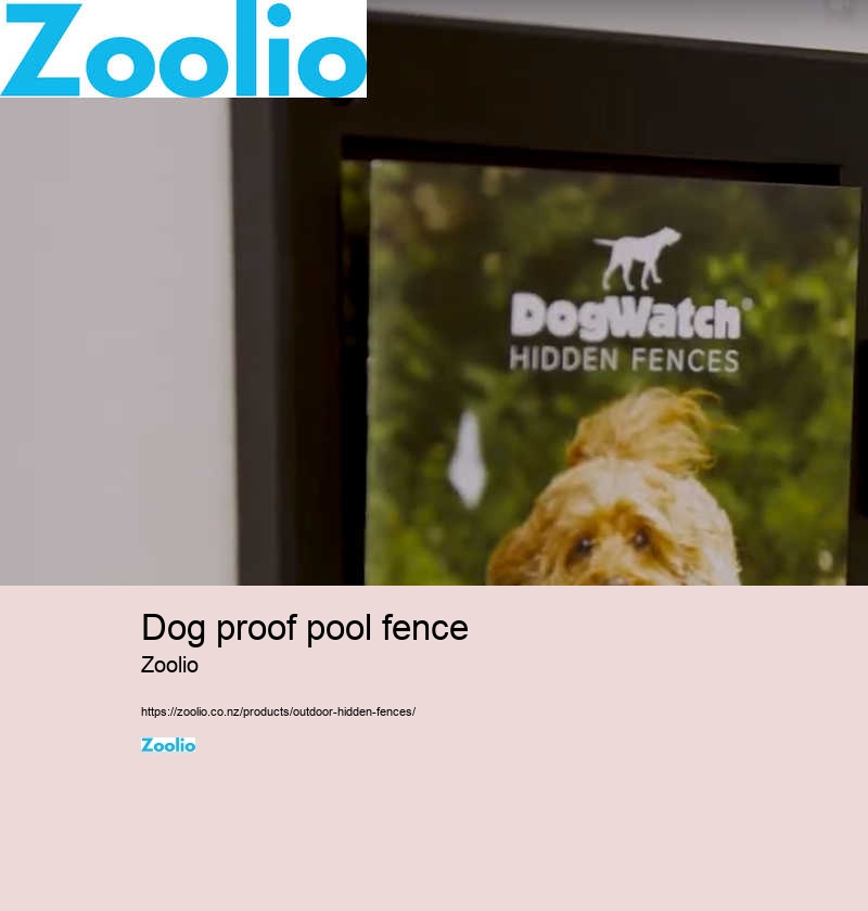 dog fence for indoors