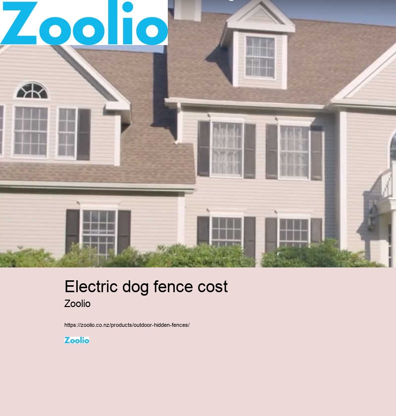 electric dog fence system