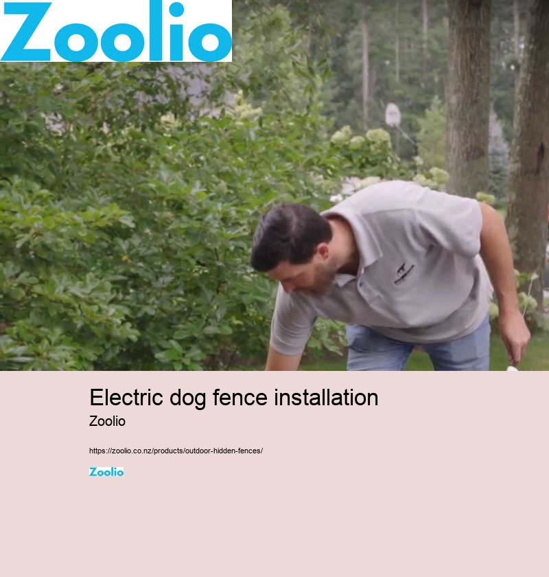 electric dog fence installation