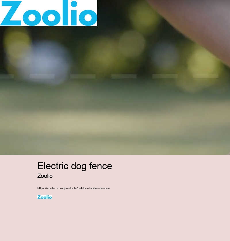 electric dog fence