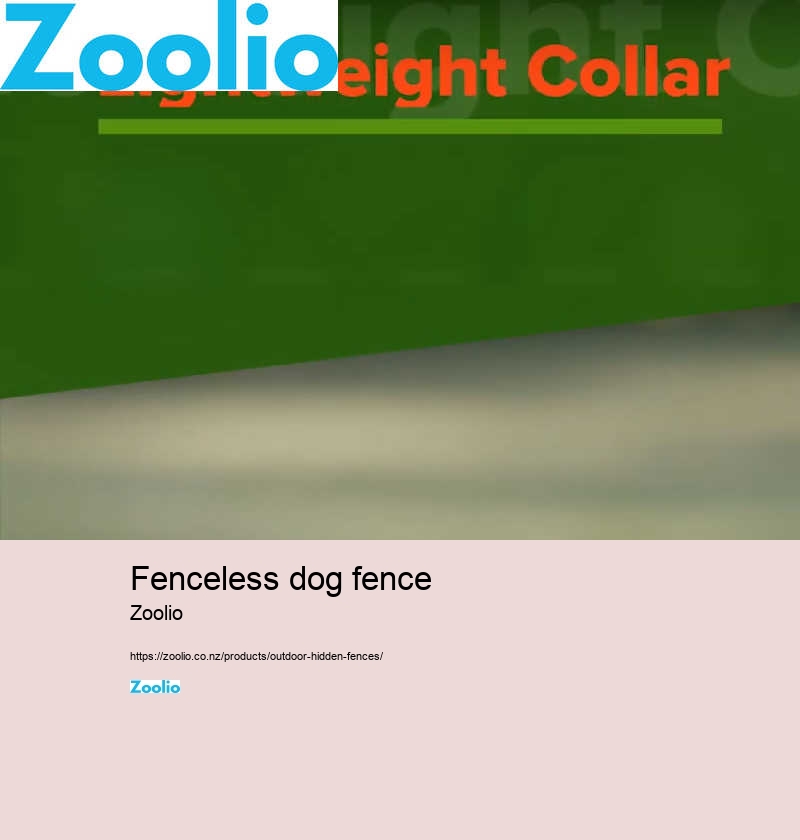 dog fence inside