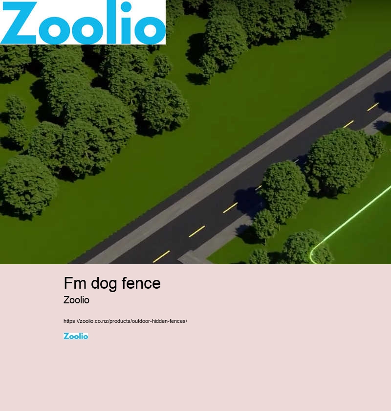 dog fence gps