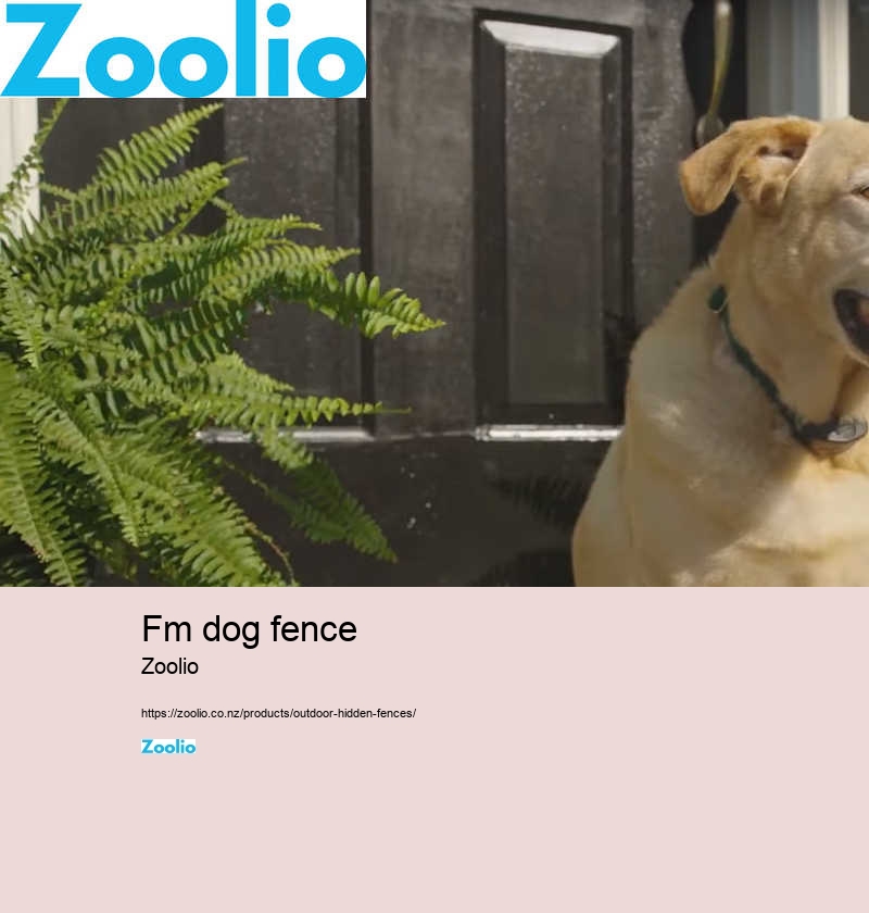 easy dog fence