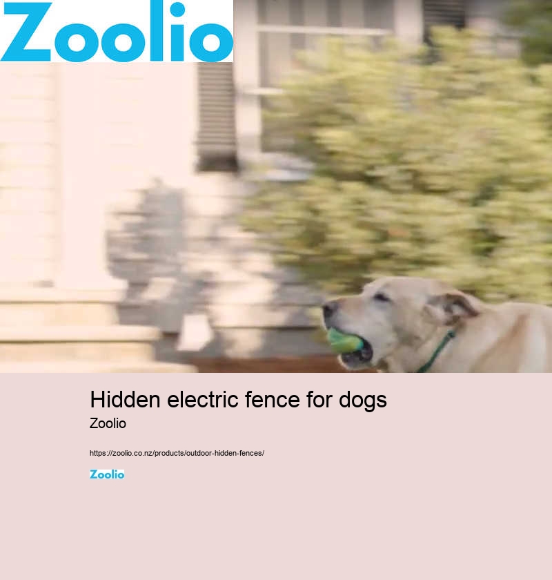 wireless dog fence