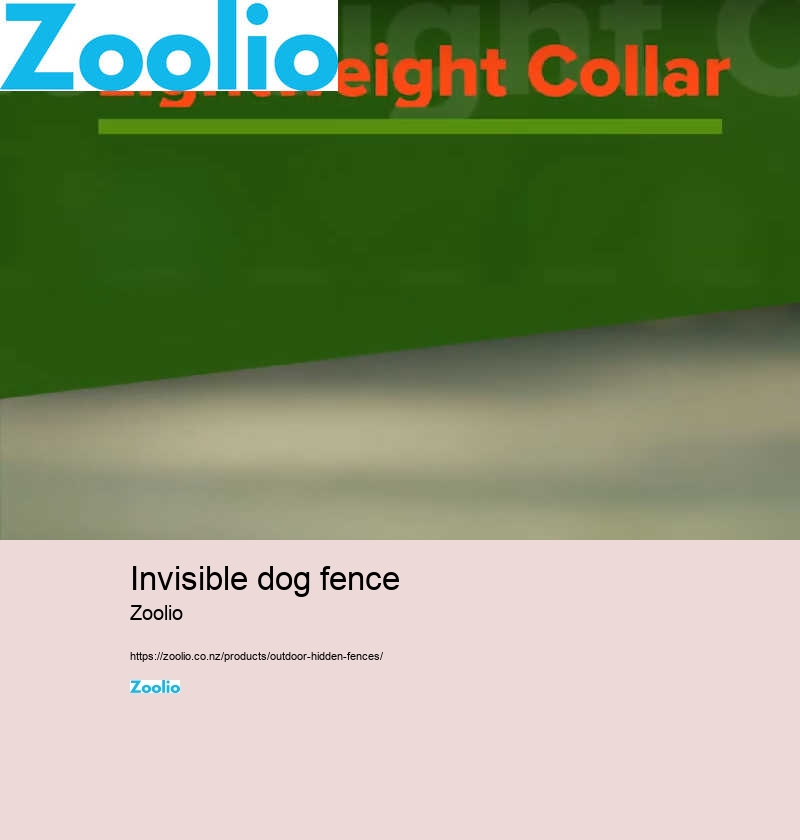 invisible dog fence