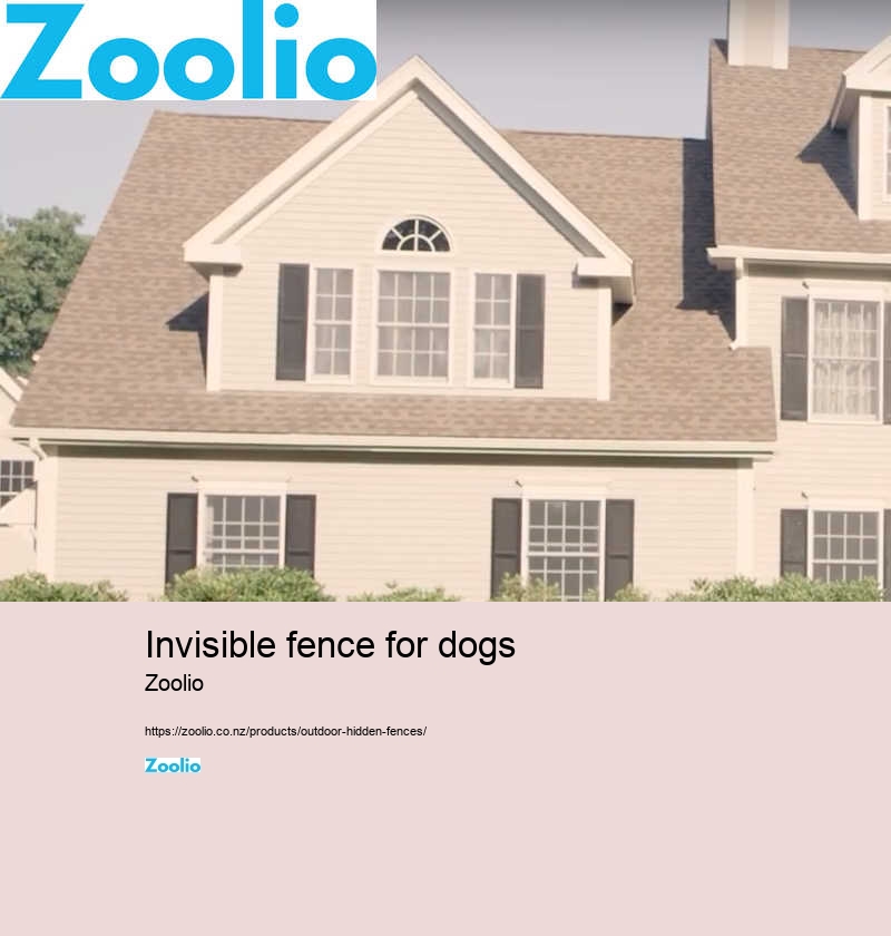 invisible fence for dogs