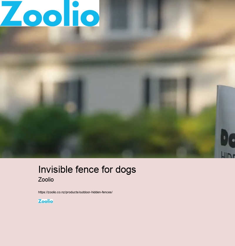 dog perimeter fence nz