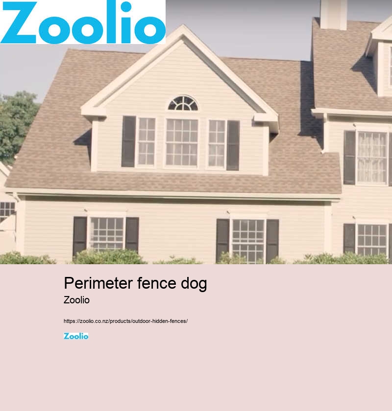 customizable wireless dog fence