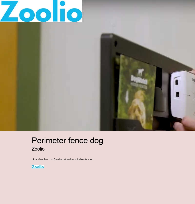 cost of electric dog fence