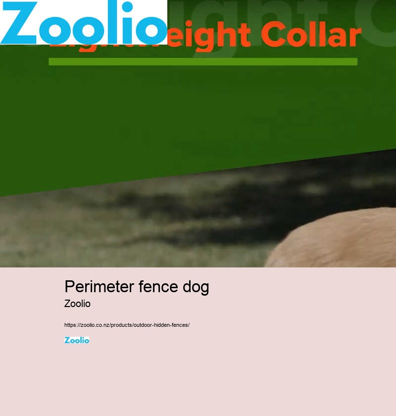 perimeter fence dog