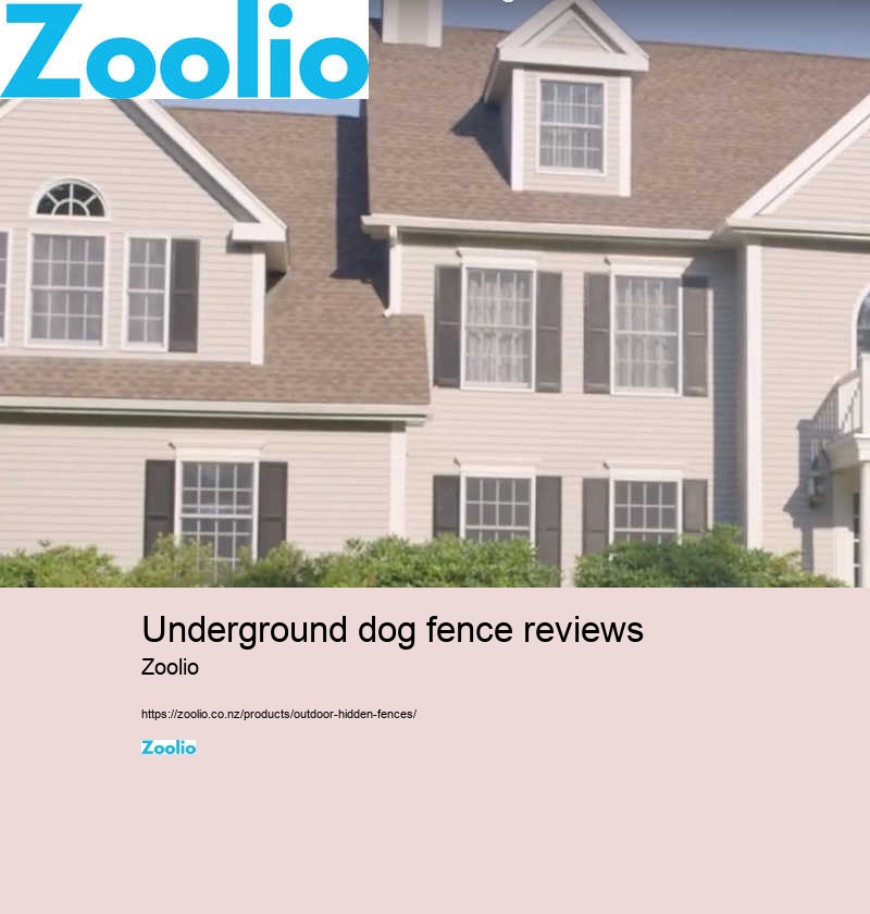 underground dog fence reviews